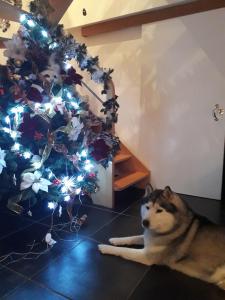 Guest House Domaine des Grouilleres