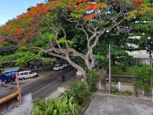 Pereybere Beach Apartments - image 1