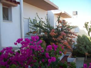 Yannis Apartments Heraklio Greece