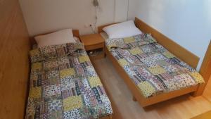 Rogla app Jerebika 11