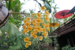 Kiplings Bay Guest house