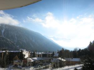 Appartements Cristal Argentiere - Gouter : photos des chambres