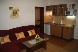 Pension-Apartmany Apollo