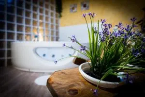 La Casa del Medio - Peñafiel