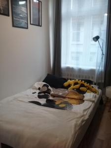 Apartament Pod Wroną