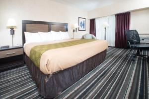 Standard King Room room in Crossroads Hotel and Huron Event Center