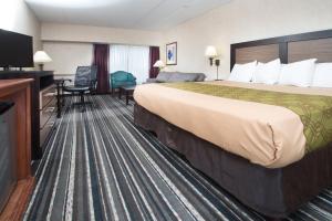 Junior Suite room in Crossroads Hotel and Huron Event Center