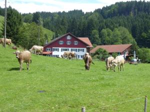 Ferienwohnung Rupp
