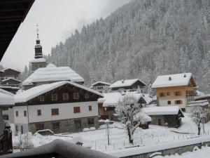 Appartements Le Mont Blanc (Gite Des Alpes) : photos des chambres