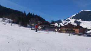 Appartementhotel Hechenberg