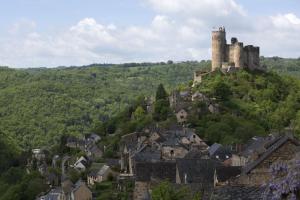 Maisons de vacances Gite des Conquettes : photos des chambres