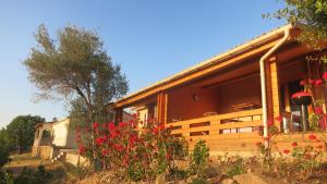 Chalets Les Terrasses de Scaglioli : photos des chambres