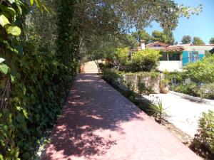 Skiathos Driades Skiathos Greece