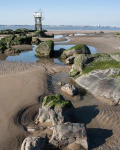 B&B / Chambres d'hotes BREVOCEAN Chb calme Cote Atlantique : photos des chambres