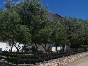 Apartments with garden