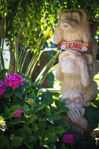 Auberges de jeunesse VILLA ZENITH Hostel-LA SURF HOUSE : photos des chambres