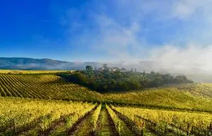 Locanda Le Piazze - Lilliano