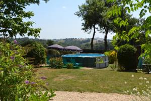 Le Petit Canard photo 15