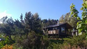 Cabañas Kuyen - Farellones