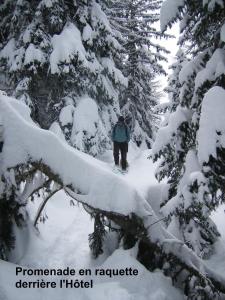 Les Seracs photo 12