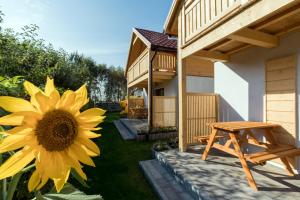 Kameleon2 - 4hvězdičkové hotely ve městě Dźwirzyno