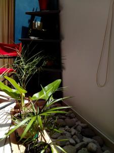 La Casa Azul - Arroyito Rio