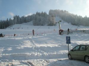 Chalets Chalet Biazot : photos des chambres