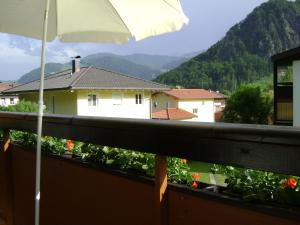 Oostenrijk-walchsee-Hasewinkel
