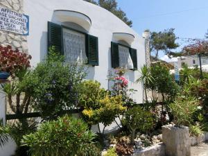 BLUS MARINE HOME a 10mt dalla SPIAGGIA