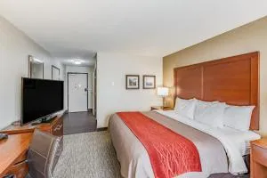 Comfort Inn Altoona-Des Moines - 阿尔图纳
