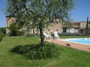 Le Checche - Contignano