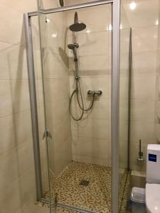 VIP Apartament in the center