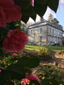 B&B / Chambres d'hotes Chateau de Beaulieu : photos des chambres