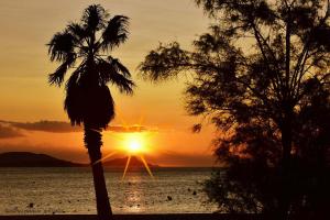 Hotels Nouvel Hotel : photos des chambres