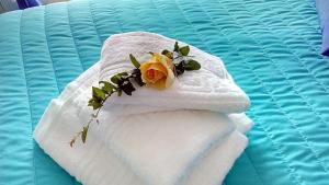 Starfish Vacation Rentals Athens Int Airport