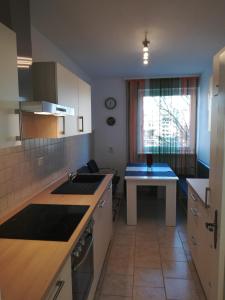 Ferien - und Messewohnung am Stadtpark