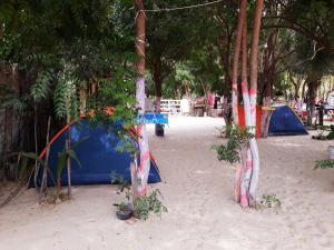 Camping Hostel To A Toa Jericoacoara Agoda Com