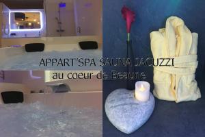 Appartements Appart' Spa et Sauna Privatif Au Coeur De Beaune : photos des chambres