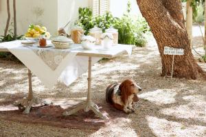 Prince Albert Country Stay