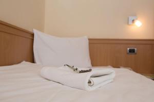 Hotel Tomislavov Dom