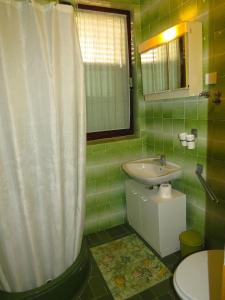 Studio Apartment room in Apartments Milica 961
