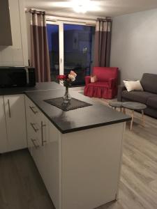 2 hvězdičkový apartmán Studio 35 m2 cosy Royat Francie