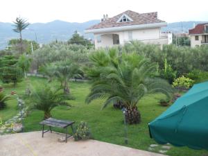 Oasi Verde