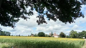 Château de Lastours photo 24