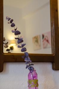 Elli Hotel Skopelos Greece