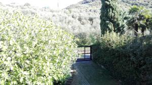 Terrazza sugli Ulivi