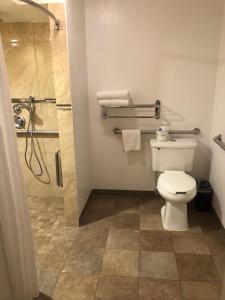 Queen Room with Roll-In Shower - Mobility Access/Non-Smoking room in Best Western Inn Santa Clara