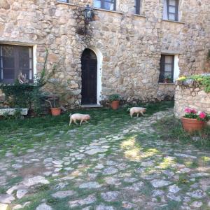 Agriturismo Il Muto di Gallura img22