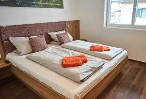 Holiday Penthouse Moosweg - Maishofen