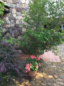 Agriturismo Il Muto di Gallura img17